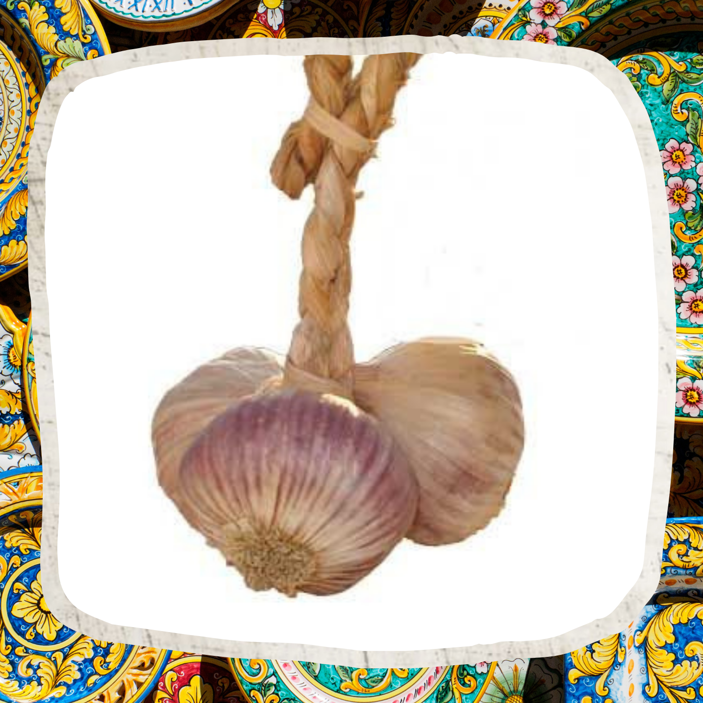 Roter Knoblauch aus Nubia - Ein Slow Food Produkt - Strang mit 3 Knollen - (Mitte 51. KW)