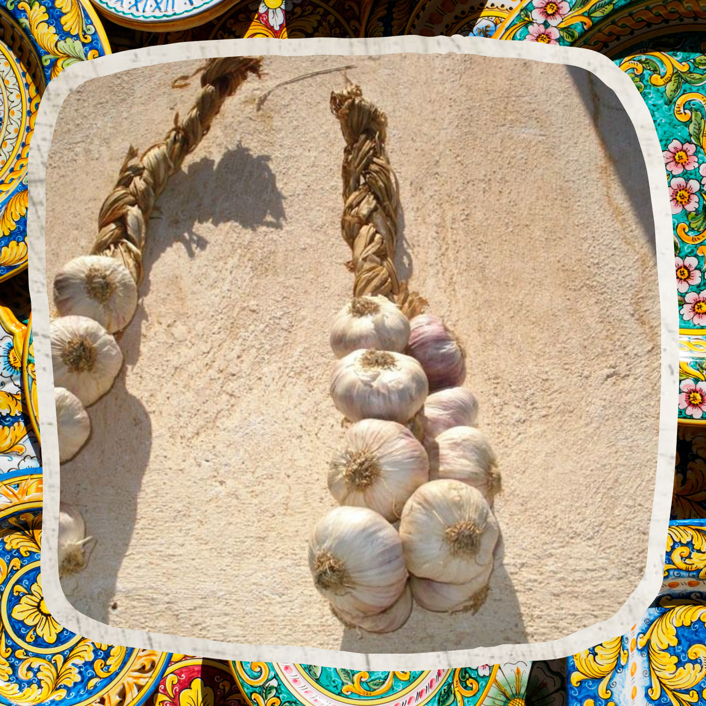 Roter Knoblauch aus Nubia - Ein Slow Food Produkt - Strang mit 10 Knollen - (Mitte 51. KW)